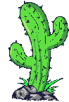 Cacti, CustomPokersAndMore.com
