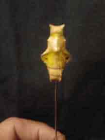 Preserved Butterfly Cocoon Poker, One of a Kind, CustomPokersAndMore