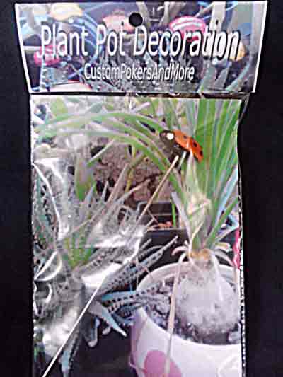 Lady Bug Plant pot Poker, various colors, custompokersandmore