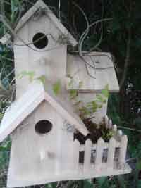 Living Wooden Triple BirdHouse