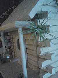 Living Birdhouse BH1Fin1