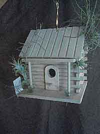 Living Birdhouse BH1Fin1