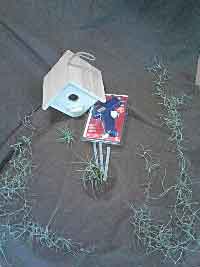 Living Birdhouse (DIY), 
