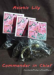Commander In Chief, 2 Asiatic Lily Bulbs