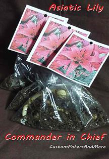 Commander In Chief, 2 Asiatic Lily Bulbs