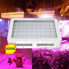 Horticulture Enhanced Spectrum 600Watt LED Double Chip Lighting