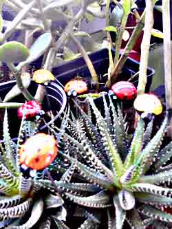 Lady Bug Plant pot Pokers, various colors, custompokersandmore