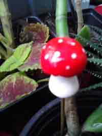 Red Mushroom Plant Pot Poker, CustomPokersAndMore